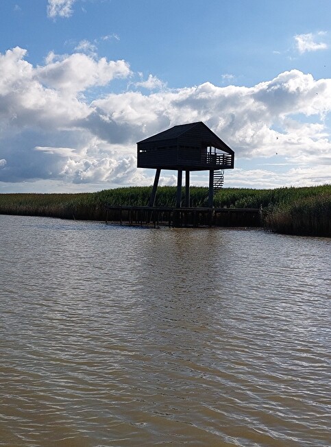 Kiekkaaste Nieuwe Staenzijl